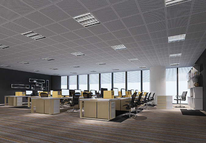 上海辦公室裝修設(shè)計：銅錢草，如何巧妙融入空間美學？